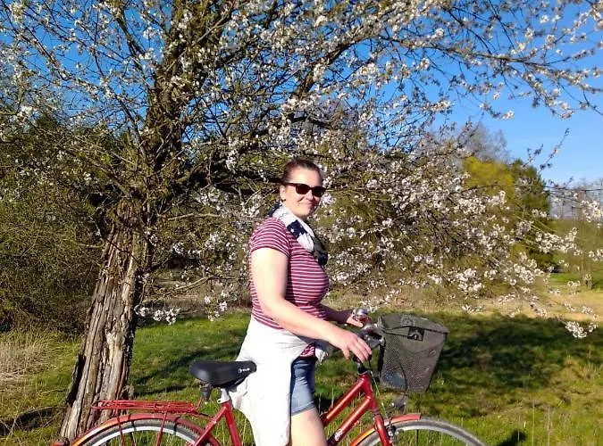 בית הארחה Urlaubspension Muehle